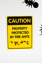 Load image into Gallery viewer, Creepy, Crawly Critter Party Package